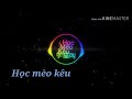 Nhạc 🎶 tiktok chin na nghe là nghiện - Học mèo kêu 學習貓 2019