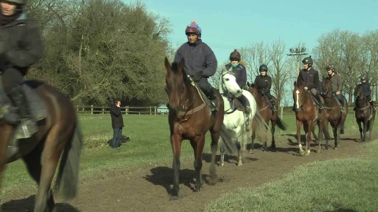 stable tour at the races