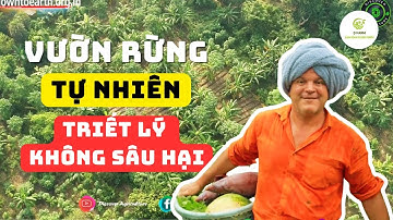 Trang Trại Rừng Thực Phẩm Tự Nhiên: Trồng Một Lần, Thu Cả Đời | Hệ Sinh Thái Bền Vững