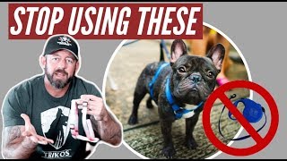 Stop using retractable leashes and harnesses on your dog!