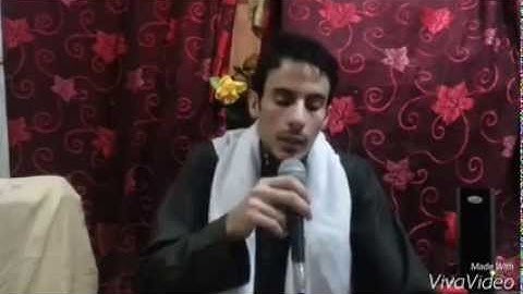 القارئ عقيل  عبدالرضا