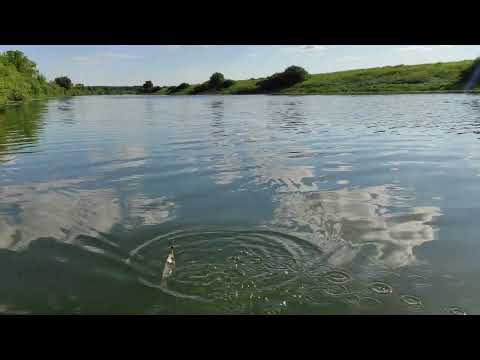 Video: Pronya River (Ryazan cheeb tsam): piav qhia, nta, duab