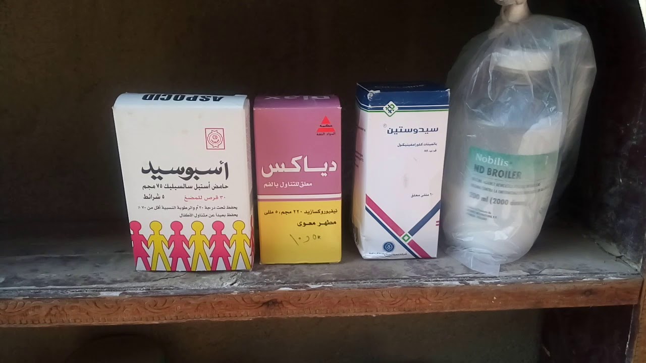 التخلص من الروشه والسالمونيلا للحمام وتطهير المكان مع كوتو ادم