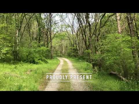 89 Ouchonder Rd, Elmwood, TN home video tour