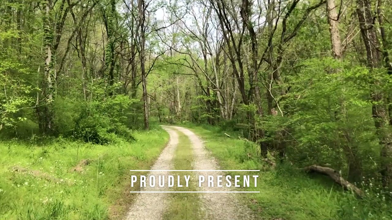 89 Ouchonder Rd | Elmwood TN Real Estate | Mike Eaton & Blackwell Realty & Auction