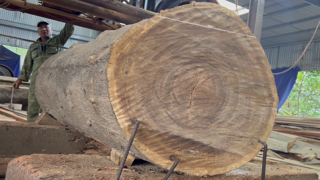 Amazing Raw Wood Sawmill - Fastest Skill Large Wood Sawmill Machine ...