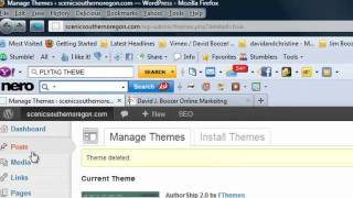 WP Themes and General Settings LBI