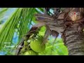 Mini Vlogs 🌿 Relaxing A Day Through Beautiful Summer Views
