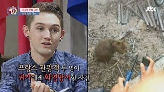 [Abnormal Summit] Abusive tourist: Please Stop the Animal abuse! 비정상회담 49회