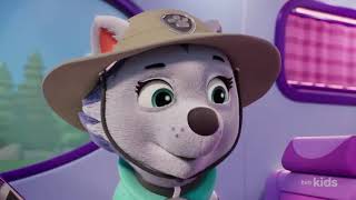 Power Rangers Paw Patrol Skyes Road Trip Rescue Tankenstein Attacks For Trevor Jones