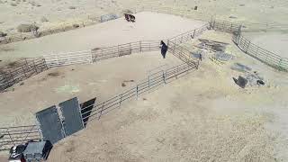 46460 140th St E, Lancaster, CA 93535 (Branded)