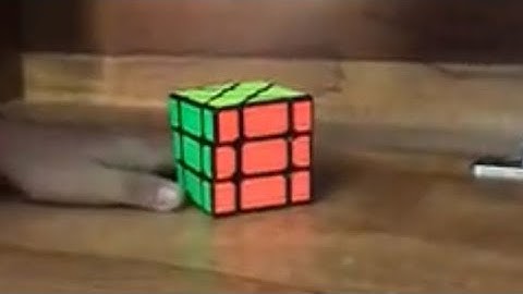 How to solve a Fisher Cube