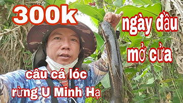 CÂU CÁ LÓC RỪNG U MINH HẠ NGÀY ĐẦU MỞ CỬA BÁN VÉ | quốc toản fishing