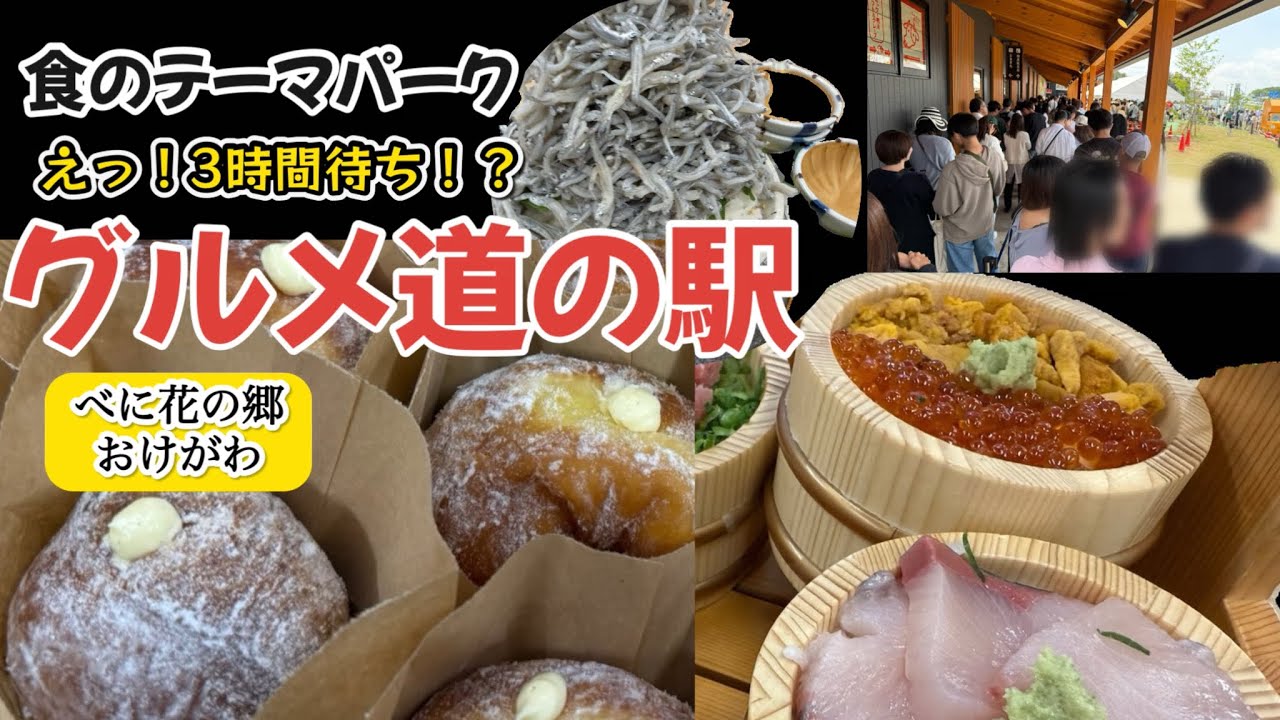 道の駅【べに花の郷おけがわ】『桶祭り海鮮丼』にもちもち『生ドーナツ』本当に食テーマパークだった！