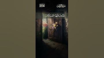 تلاوة هادئة تريح النفس من سورة الكهف| ولولا إذ دخلت جنتك قلت ما شاء الله #اكسبلور