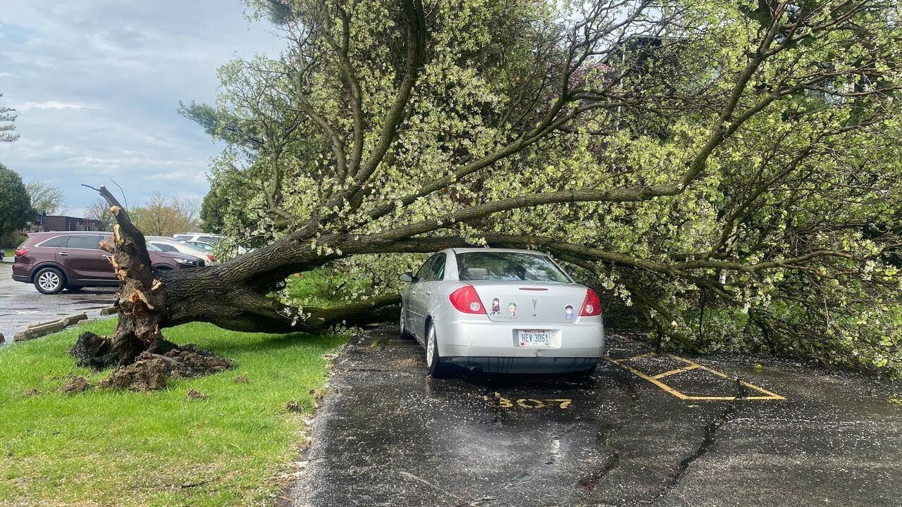 Power outages, damage reported as storms roll through NWO - YouTube