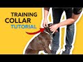 Starmark training collar sizing and how to