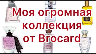 Мой BROCARD: мнение о бренде и большая коллекция ароматов.