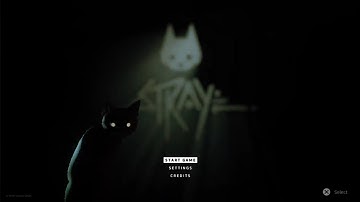 🐈‍⬛ LIVE STRAY | PS5 Walkthrough | Inside The Wall - Slums (1) | (No Commentary) #stray