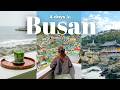 Trip To Busan 4 Day Itinerary Gamcheon Cultural Village Cafes Sky Capsule Korea Vlog 