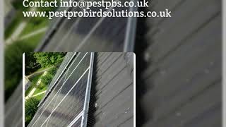 Solar Panel Proofing Say NO! to Pigeons