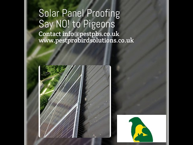 Solar Panel Proofing
Say NO! to Pigeons