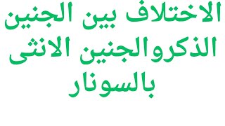 الاختلاف بين الجنين الذكر والجنين الانثى بالسونار