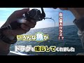 【リールの】いろいろな魚がドラグを鳴らしてくれました【悲鳴】