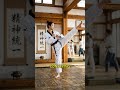 Kicks with Depth: Unpacking Philosophy in Traditional Taekwondo Techniques