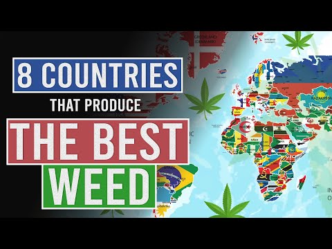 Video: Wer is de beste wiet die ter wereld wordt gekweekt?