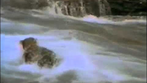 John West - 1990 Salmon TV Ad