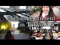 EXCHANGE STUDENT IN JAPAN - Student Life in Tokyo (Vlog #22)