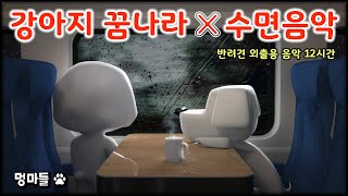 #멍마들  강아지 혼자 있을 때 영상! 수면음악과 백색소음🐶🎵 (12시간) - A video for when your dog is alone!