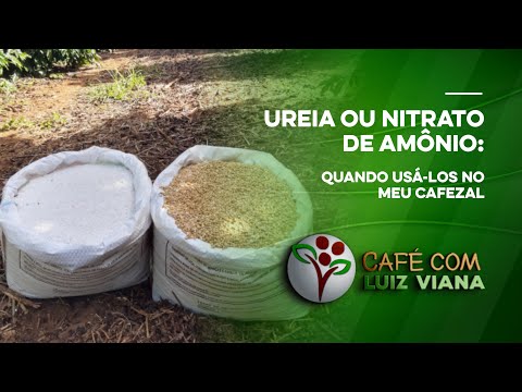 Vídeo: Nitrato De Amônio No País: Como Usar?