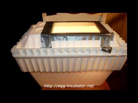 incubator for eggs incubator for eggs