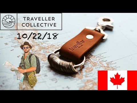 Traveller Collective Brown Clip