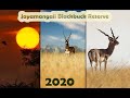Jayamangali Blackbuck Reserve 2020 | Places to visit near Bangalore | Wildlife Photography forests