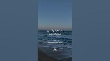 📜 آية قصيرة من سورة الجاثية | تلاوة مؤثرة بصوت طارق محمد