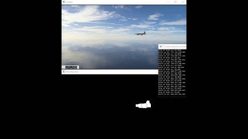 Object Detection from Computer Vision Simulation