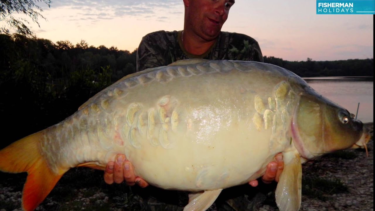 La Renarde Carpfishing in France