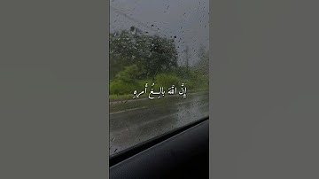 {وَمَن يَتَوَكَّل عَلَى اللَّهِ فَهُوَ حَسبُهُ}  | ياسر الدوسري |سورة الطلاق  #قرآن #آيات