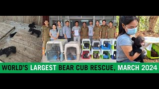 World's largest best cub rescue!