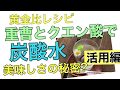 天然重曹とクエン酸の炭酸水✨美味しさの秘密大公開！✨124/1000