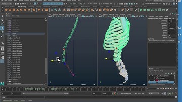 Move Skinned Joint Tool