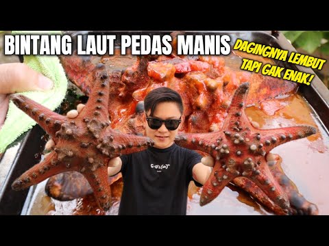 Video: Apa yang dimakan bintang laut keranjang?