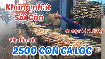 Cận cảnh chế biến hơn 2500 con Lóc nướng mía Phục Vụ ngày Vía Thần Tài Lớn Nhất Sài Gòn