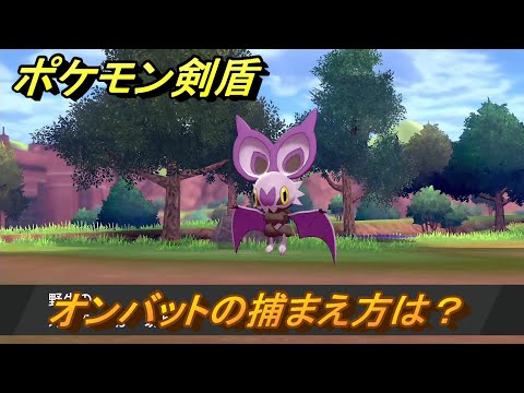 ソードシールド オンバットの種族値 わざ 特性など能力と入手方法 ポケモン剣盾 攻略大百科