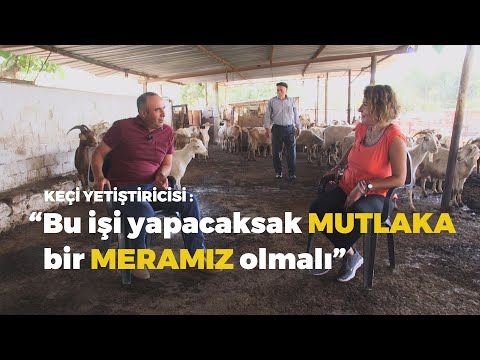 Video: Qusan Keçi İşi