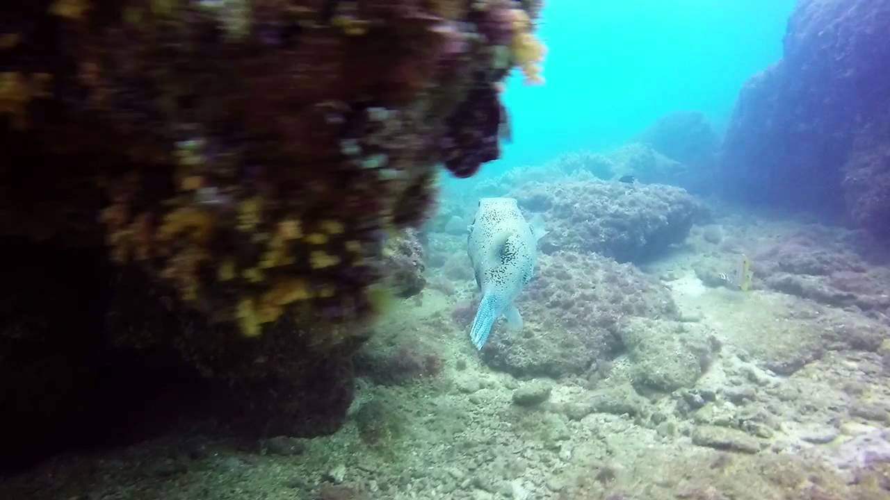 Pulau Dayang 22nd - 24th May 2015 (H.D.U by Ping Chie)