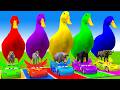 Long Slide Game With Cow Elephant Gorilla Hippopotamus Tiger 3d Animal Game Funny 3d Animals